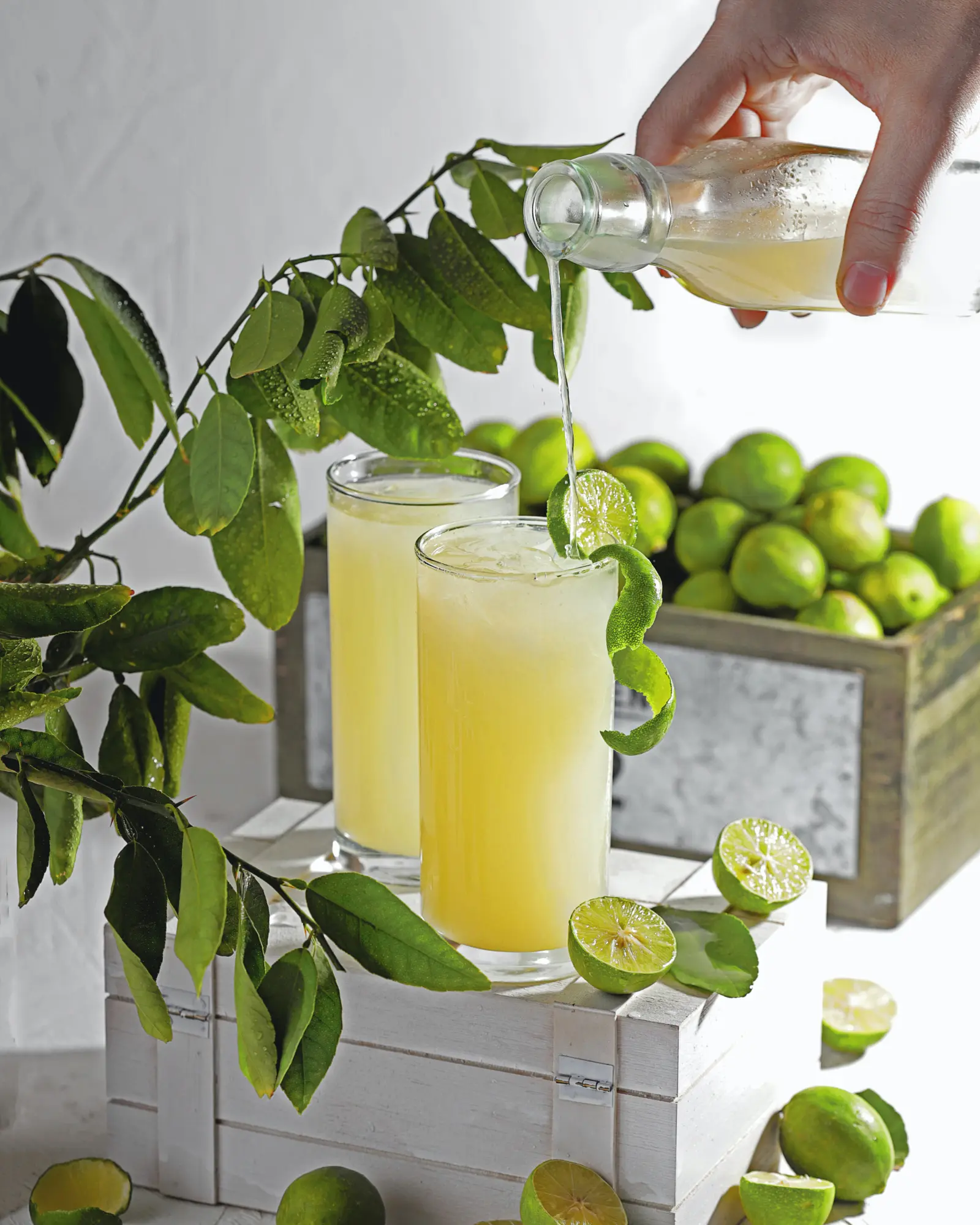 Aguas Tikis — aguas frescas naturales premium